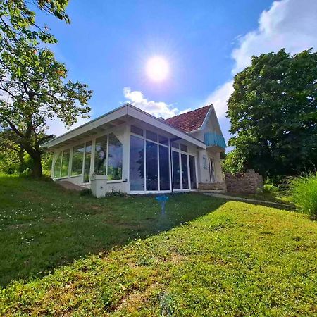 Honey Hill Apartment Fruska Gora Cerevic Exteriér fotografie