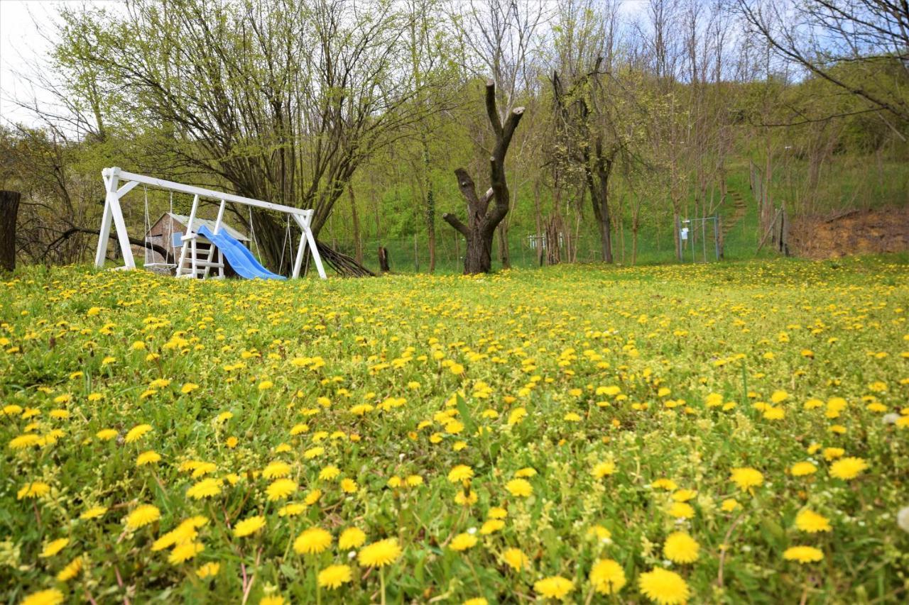 Honey Hill Apartment Fruska Gora Cerevic Exteriér fotografie