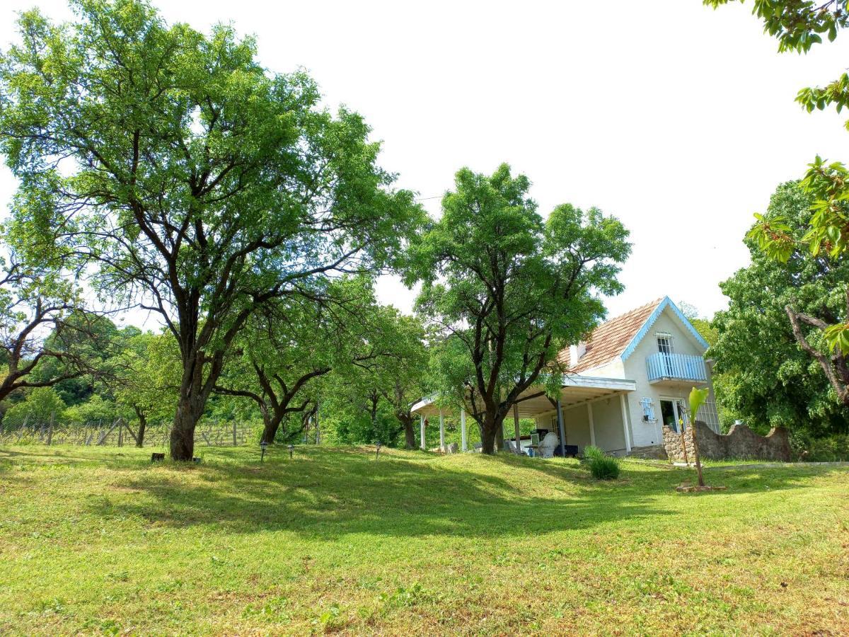 Honey Hill Apartment Fruska Gora Cerevic Exteriér fotografie