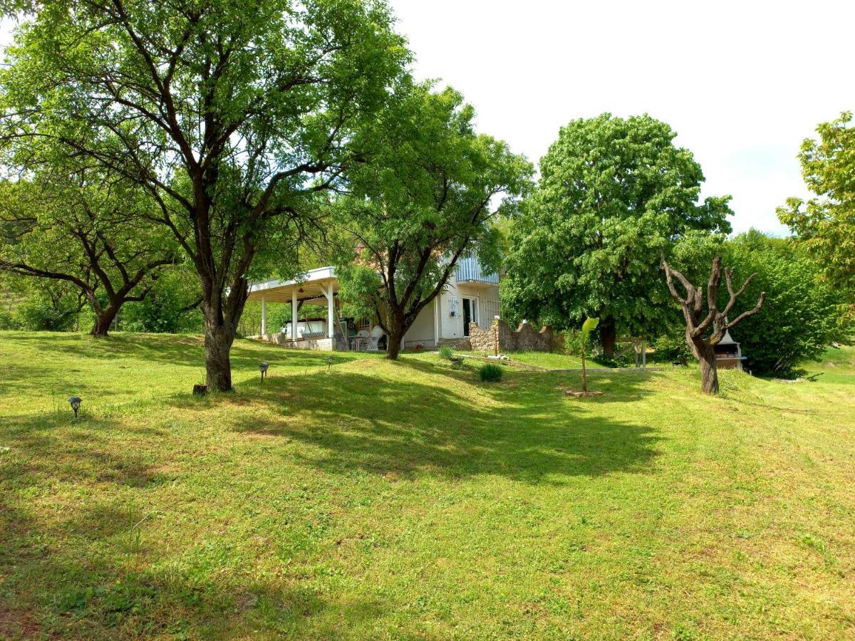 Honey Hill Apartment Fruska Gora Cerevic Exteriér fotografie