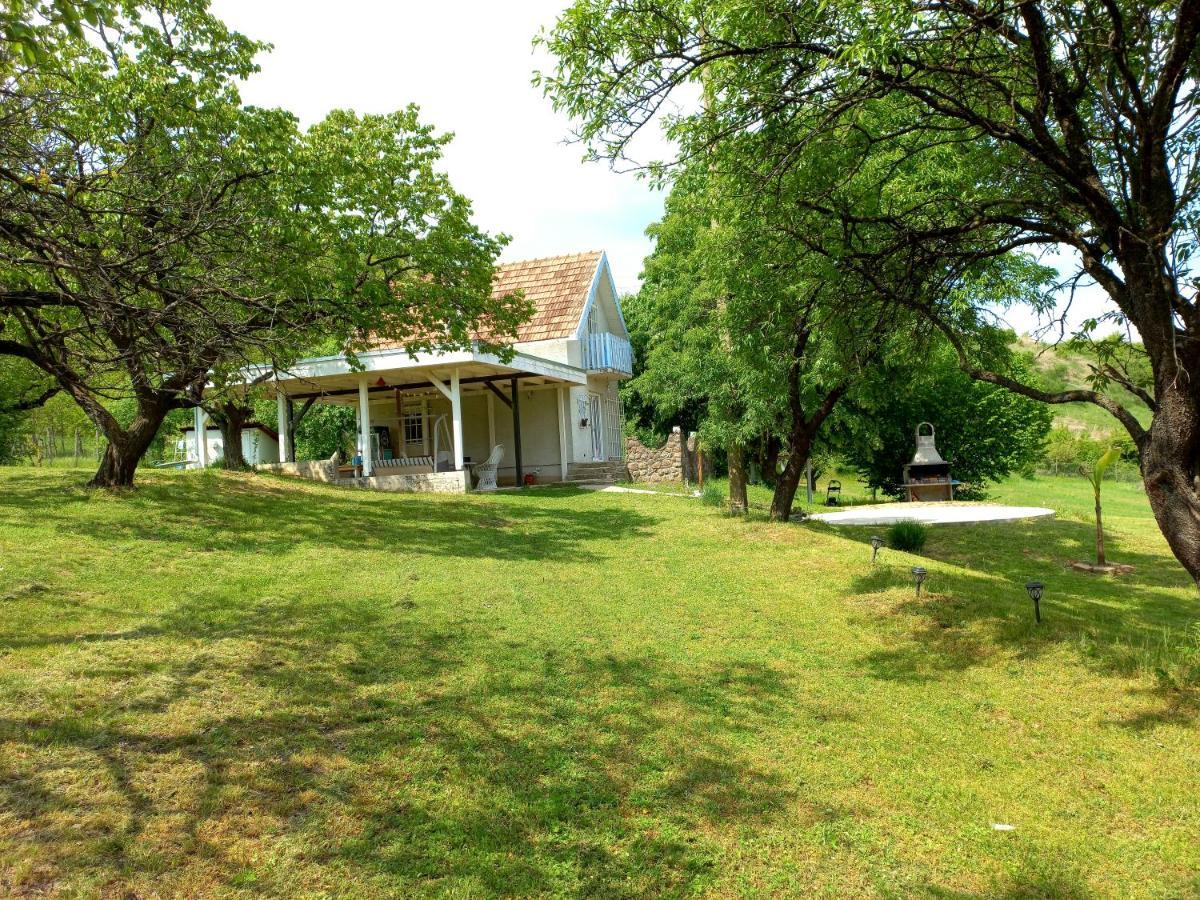 Honey Hill Apartment Fruska Gora Cerevic Exteriér fotografie