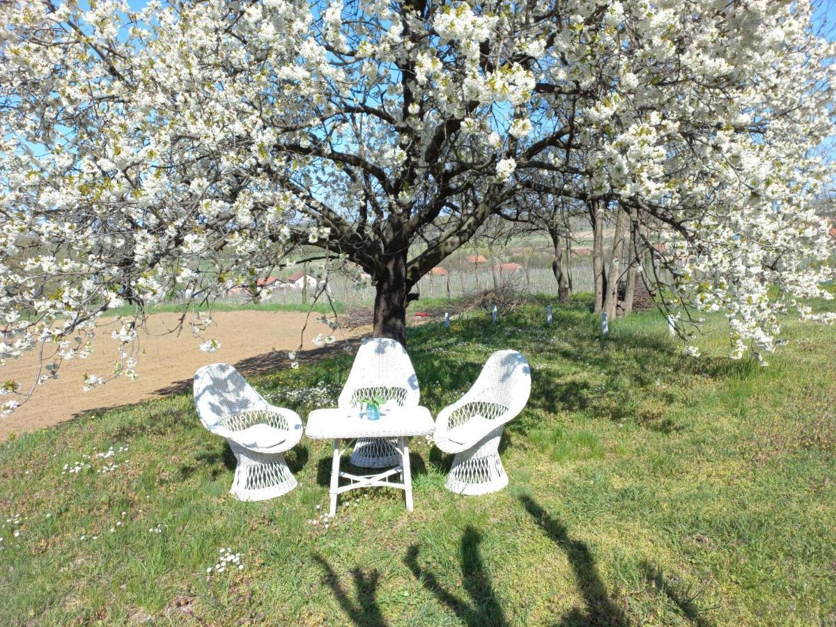 Honey Hill Apartment Fruska Gora Cerevic Exteriér fotografie