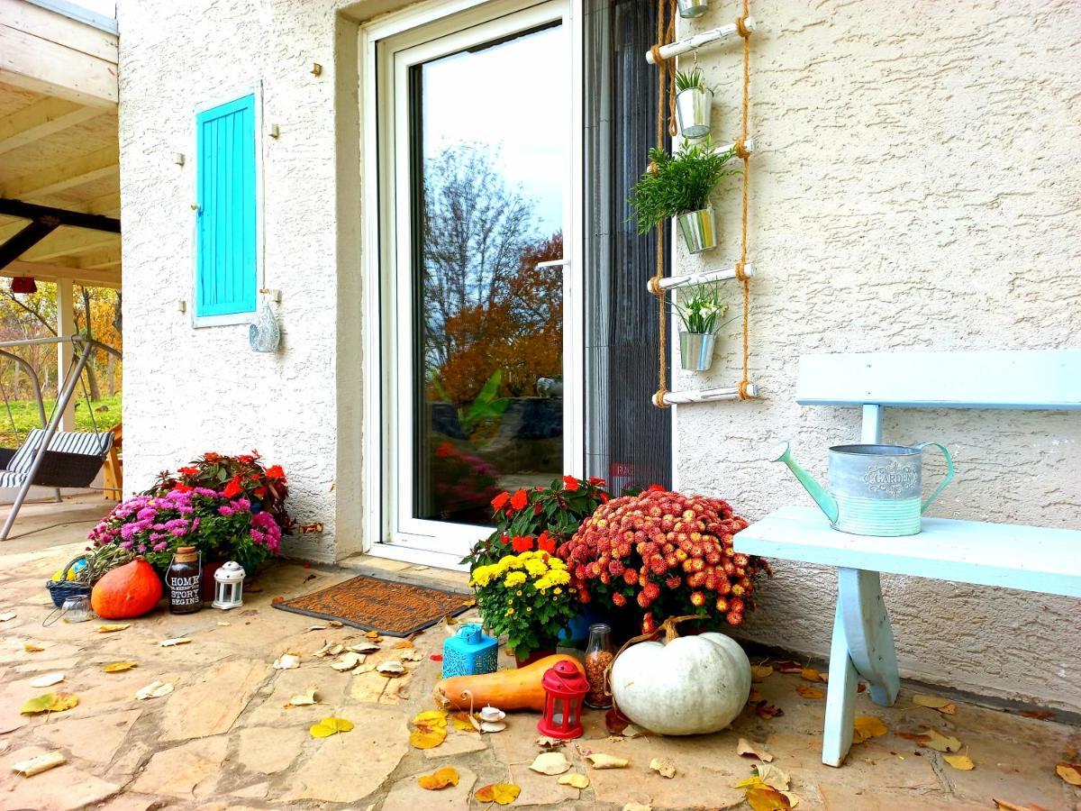 Honey Hill Apartment Fruska Gora Cerevic Exteriér fotografie