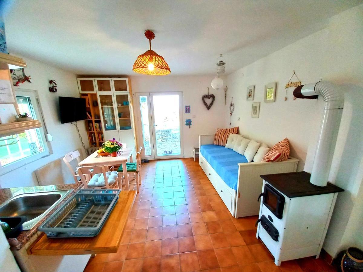 Honey Hill Apartment Fruska Gora Cerevic Exteriér fotografie
