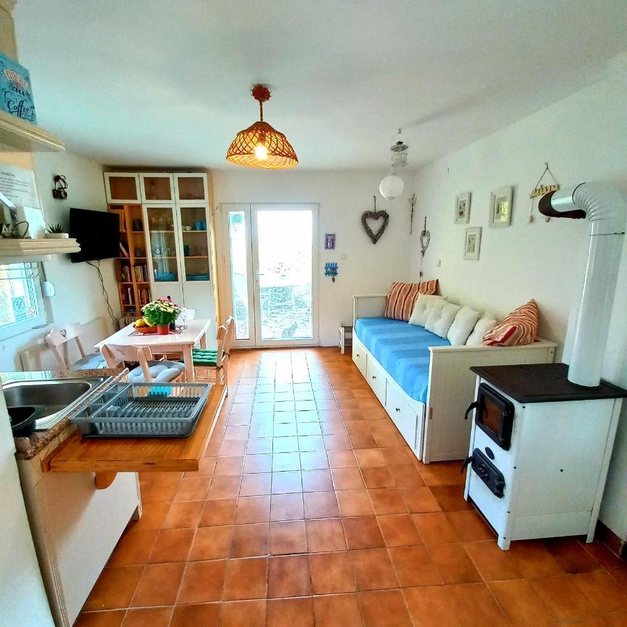 Honey Hill Apartment Fruska Gora Cerevic Exteriér fotografie