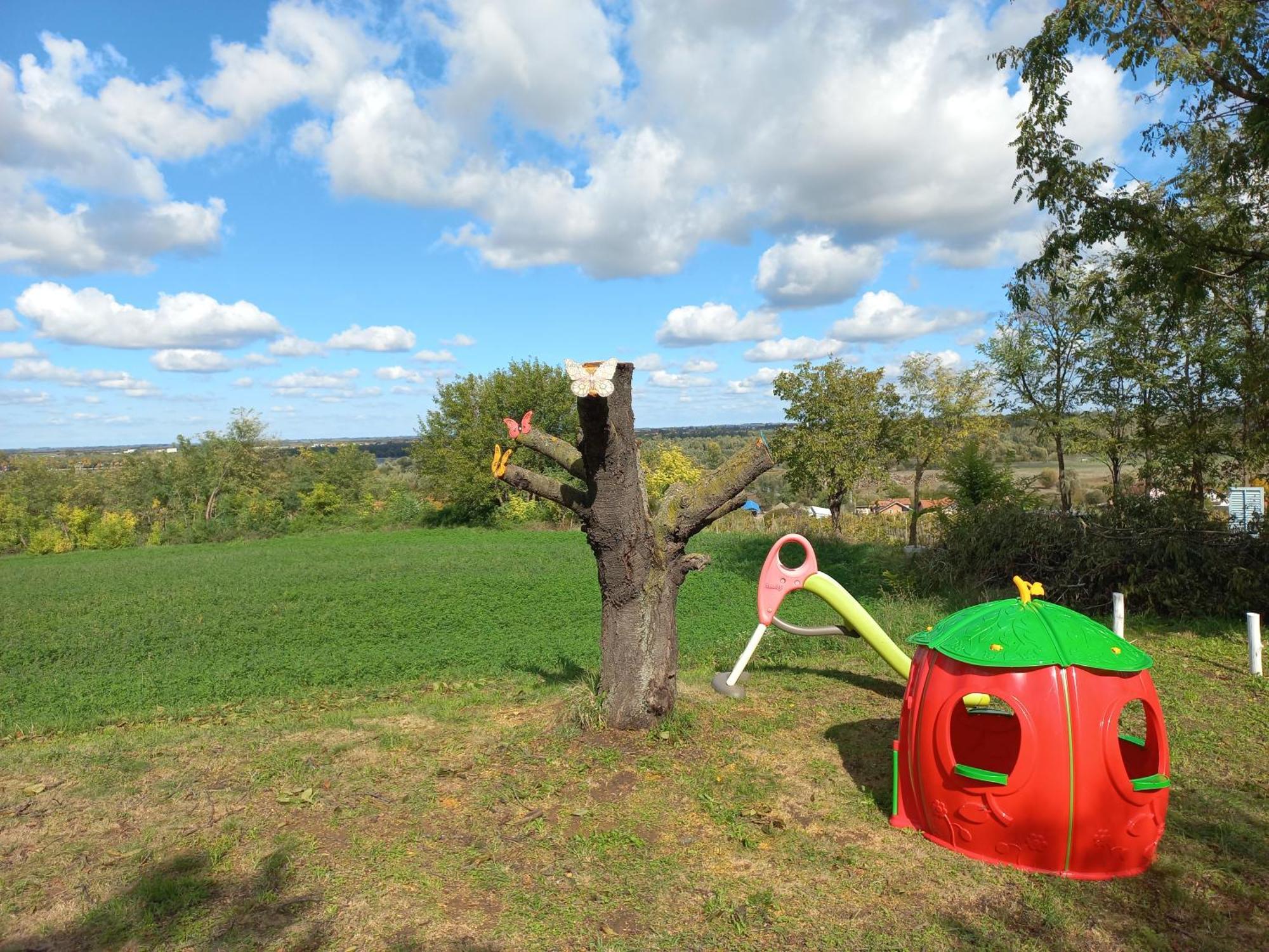 Honey Hill Apartment Fruska Gora Cerevic Exteriér fotografie