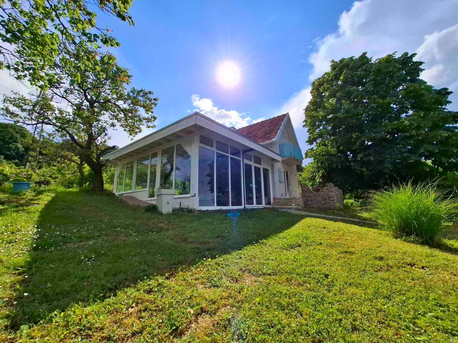 Honey Hill Apartment Fruska Gora Cerevic Exteriér fotografie